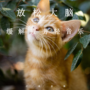 鲁大师手机在线观看免费版第3集
